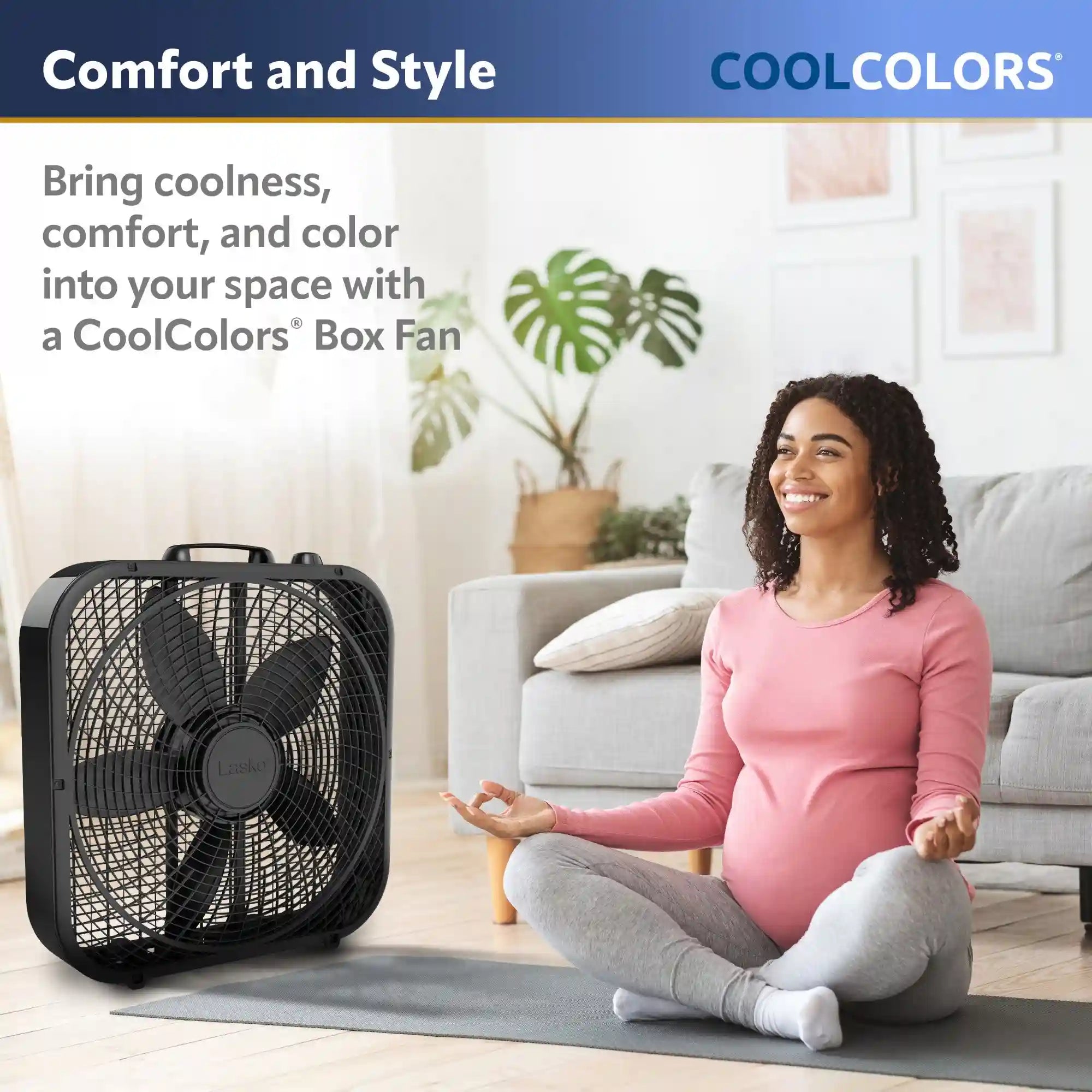 Lasko B20301 20" Weather Resistant Box Fan with 3 Speeds