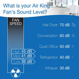 Air King 12" 1/50 HP Commercial Grade Wall Mount Fan (3-speed, manual, white)