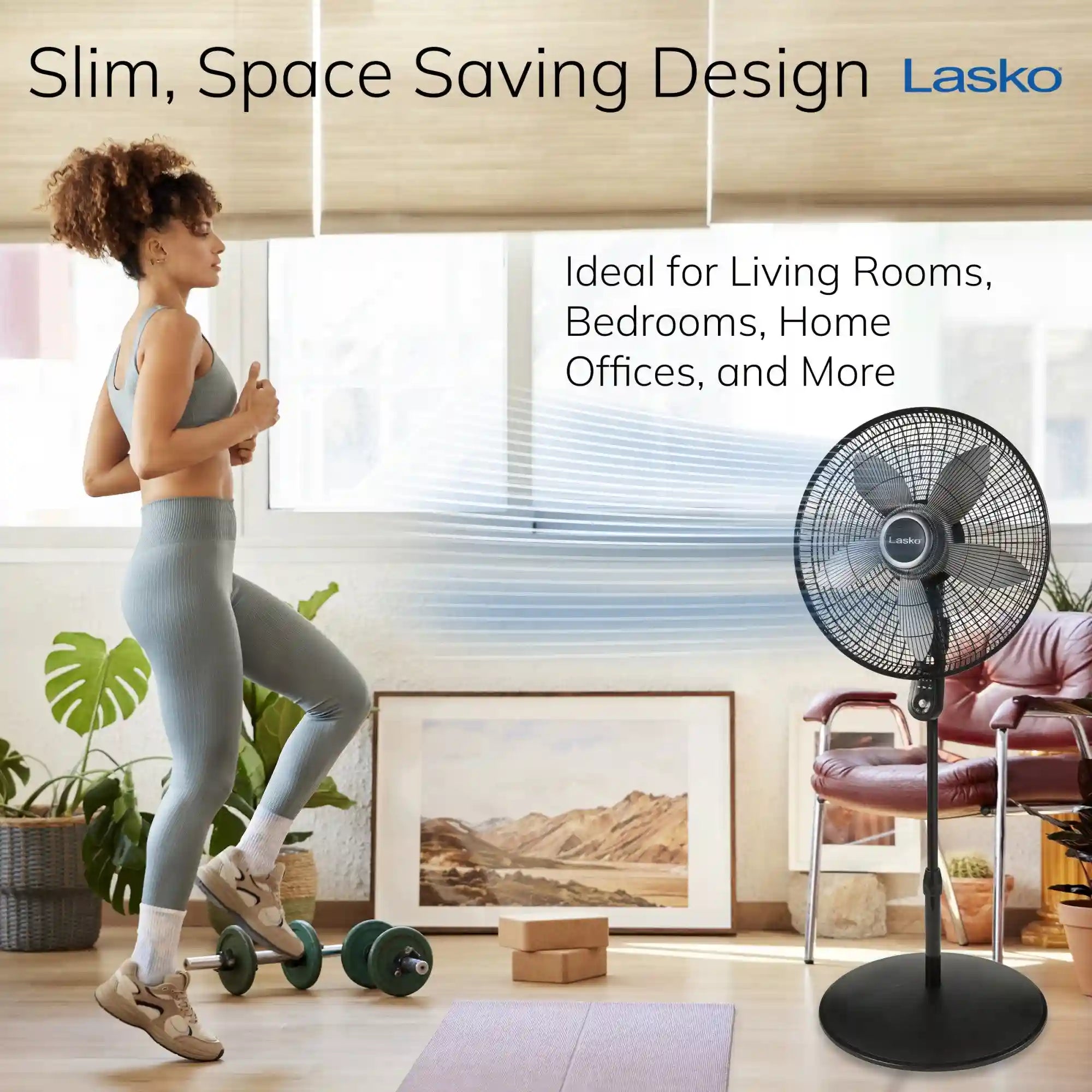 Lasko 20" Pedestal Fan (4-speed, remote, timer, black)
