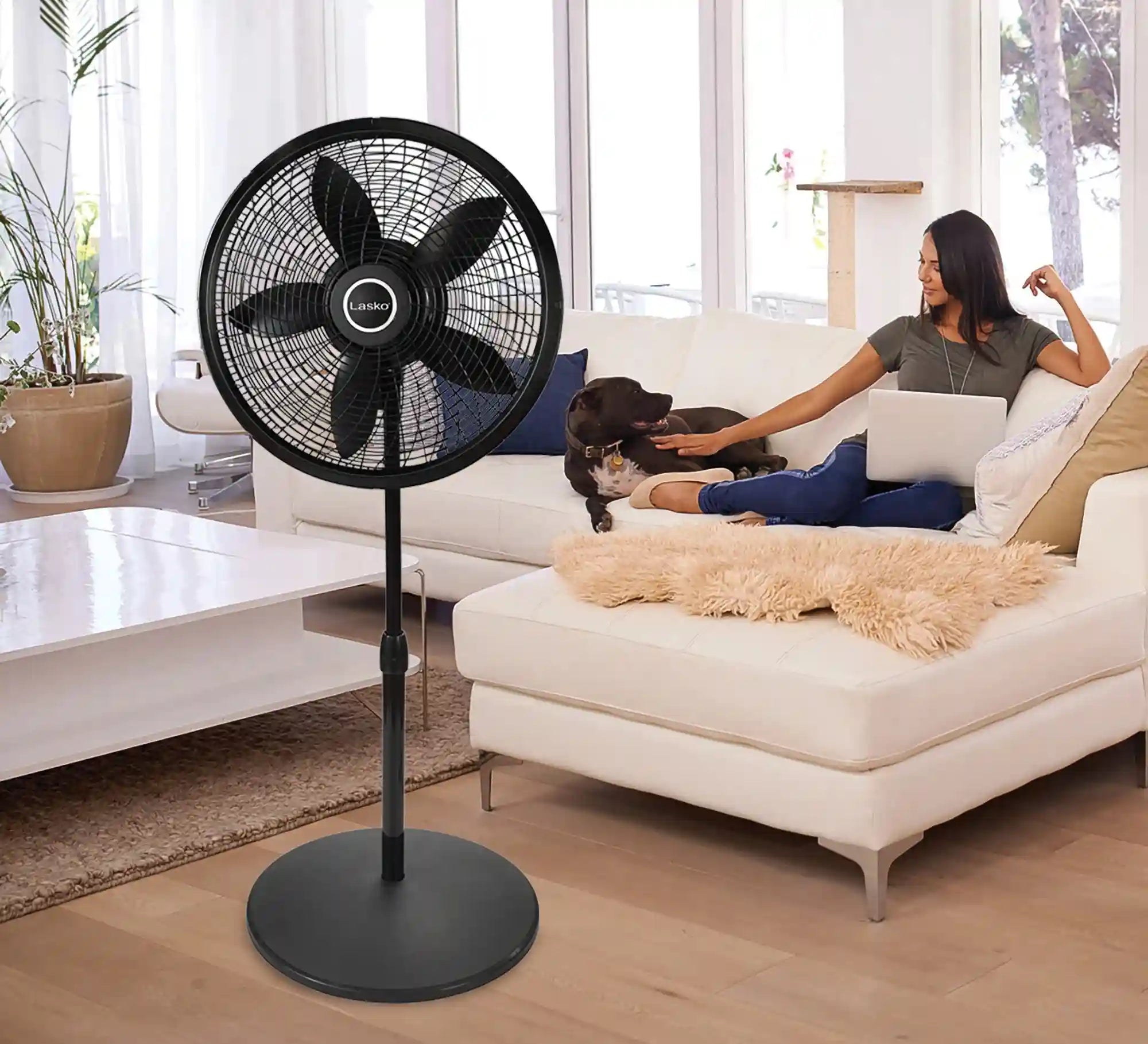 Lasko Cyclone® 18" Pedestal Fan (3-speed, manual, black)