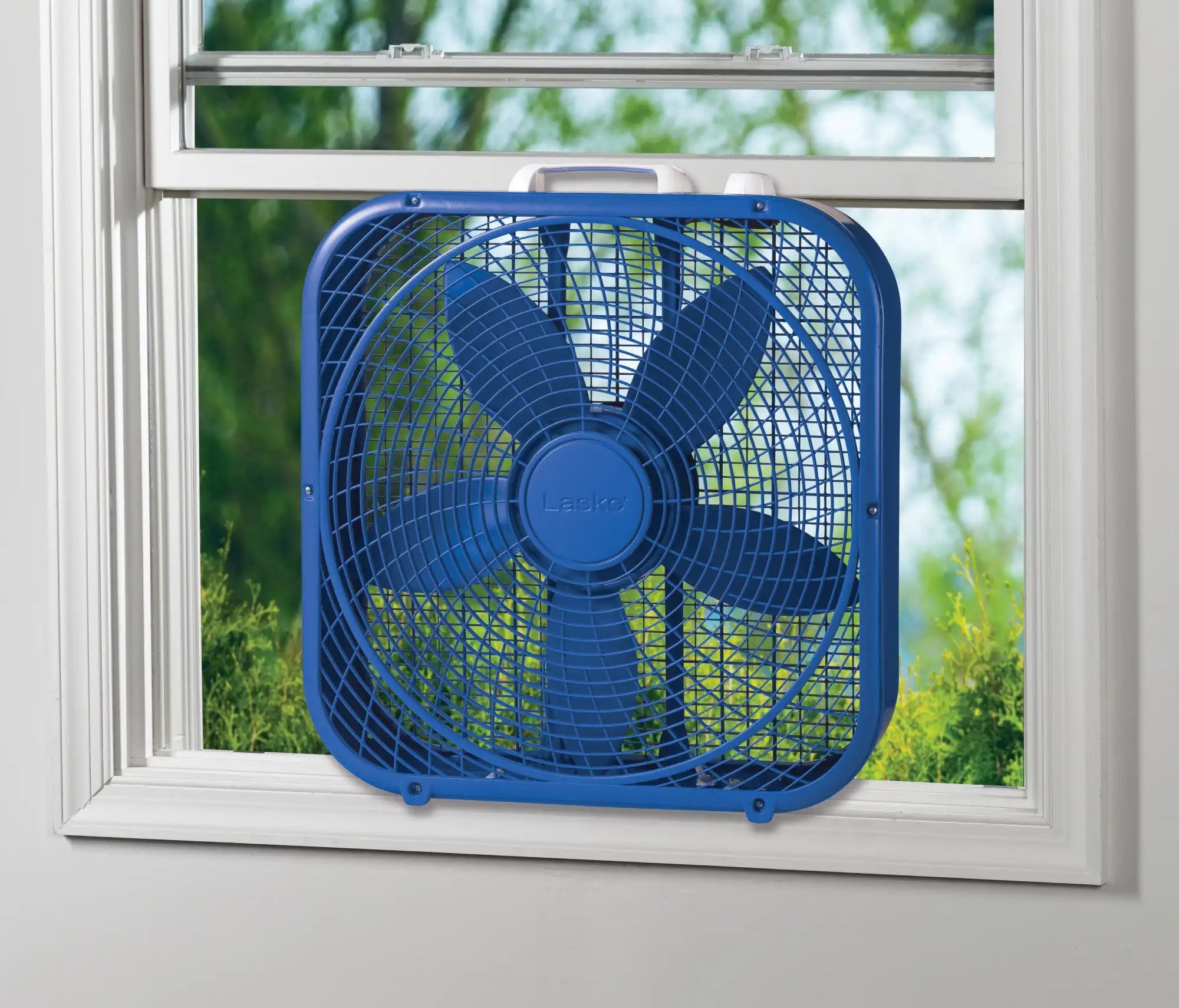 Lasko Cool Colors Box Fan (blue)