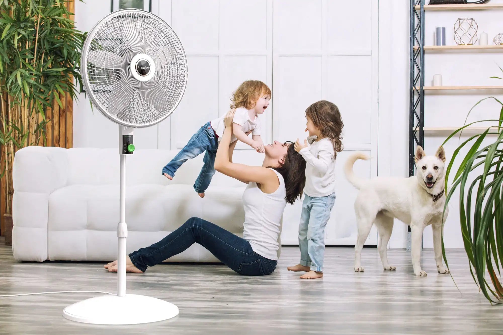 Lasko WhisperForce™ 18" 4-speed EcoQuiet DC Motor Pedestal Fan with Remote & Timer (white, model S18705)