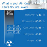 Air King 18" 1/20 HP Commercial Grade Wall Mount Fan (3-speed, manual, white)