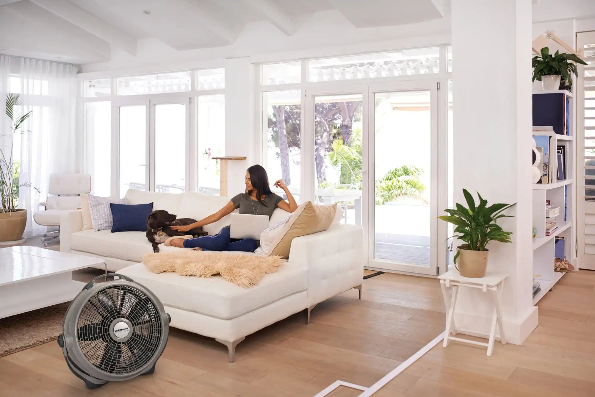 Lasko Wind Machine® 20" Air Circulator Floor Fan (3-speed, manual, 360° airflow, dark gray)