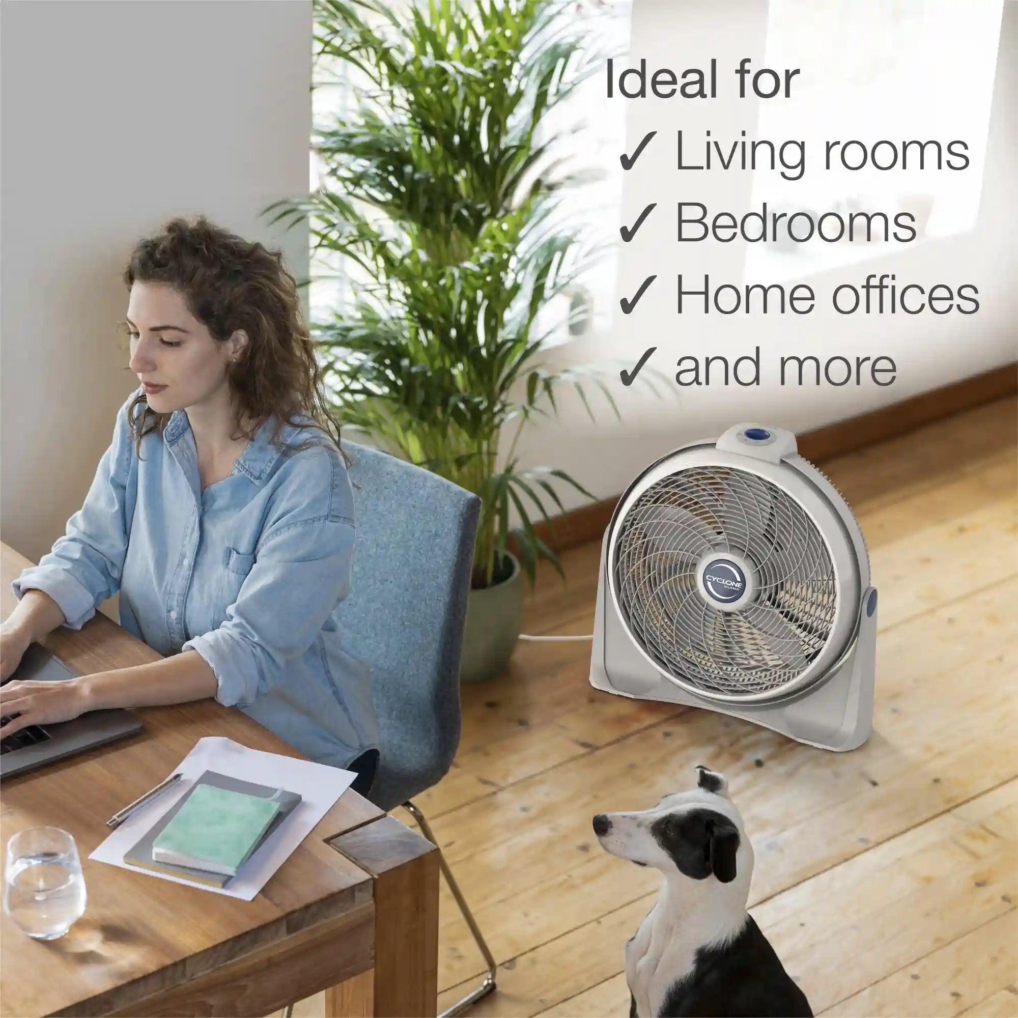 Lasko Cyclone® 20" Air Circulator Floor Fan (3-speed, manual, 90° oscillation, white)