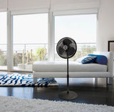 Lasko Performance 16" Pedestal Fan (3-speed, manual, black)