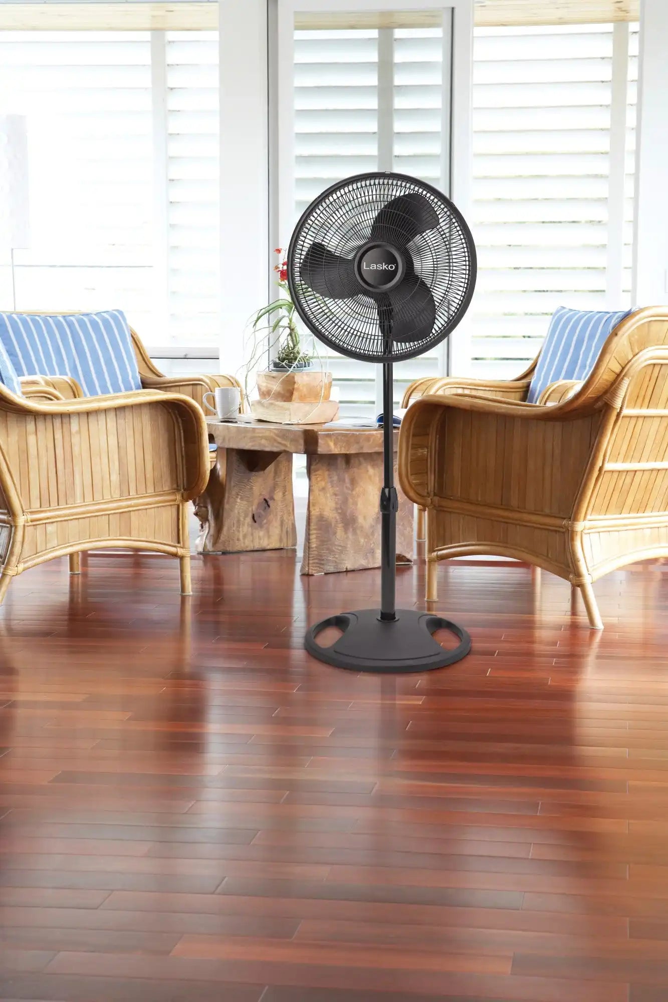 Lasko 16" Pedestal Fan (3-speed, manual, black)