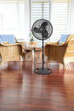 Lasko 16" Pedestal Fan (3-speed, manual, black)