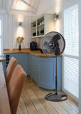 Lasko 16" Pedestal Fan (3-speed, manual, black)