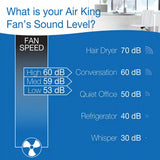 Air King Commercial Grade Pivoting Utility Blower (3-speed, black/gray)