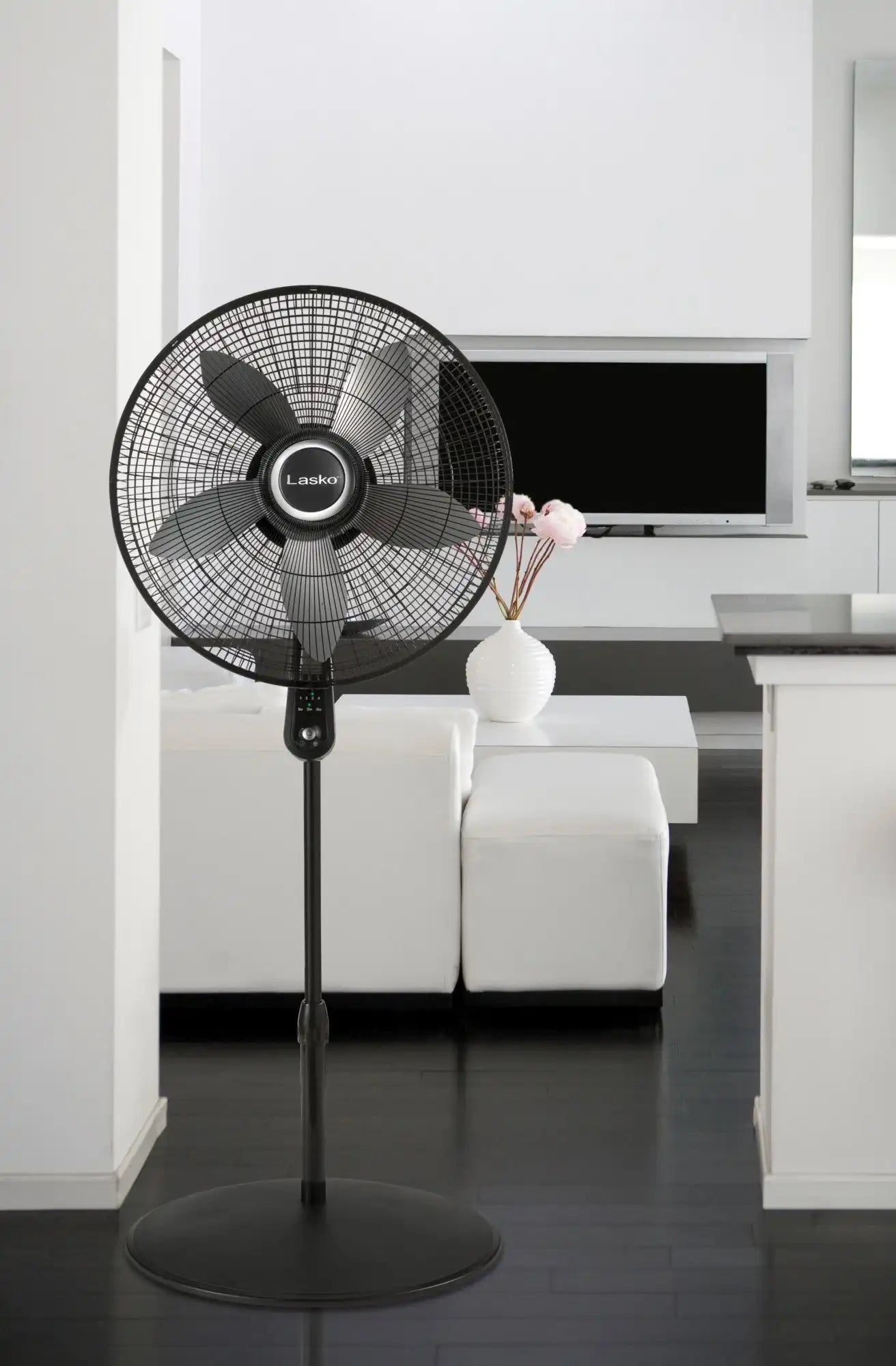 Lasko 20" Pedestal Fan (4-speed, remote, timer, black)